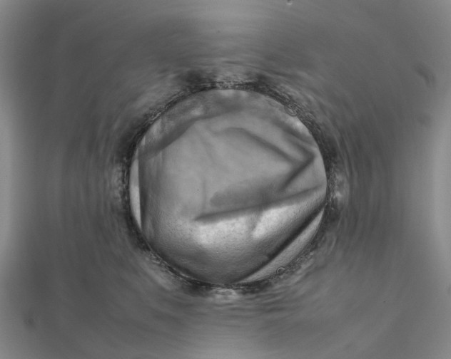 X0000112090519200908251130