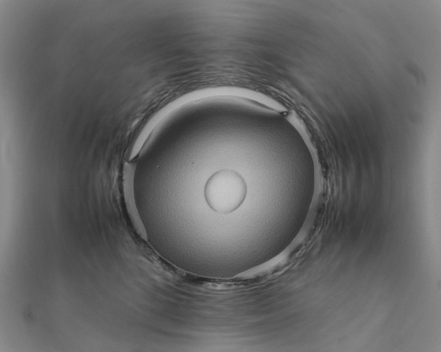X0000112090520200908251130