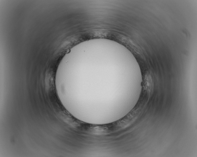 X0000112090522200908251130