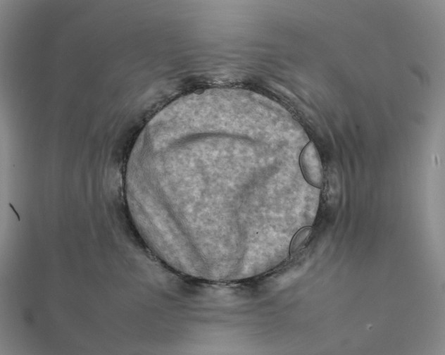 X0000112090523200908251130