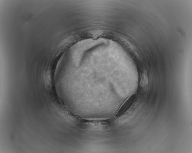 X0000112090524200908251130