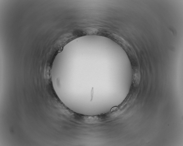 X0000112090525200908251130