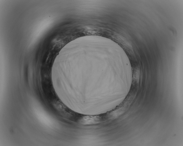 X0000112090526200908251130