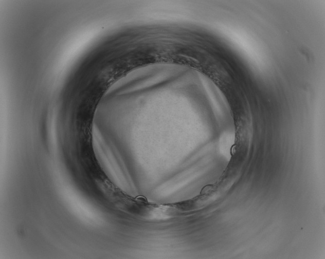 X0000112090527200908251130