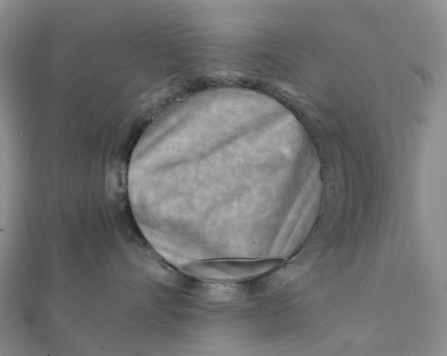 X0000112090528200908251130