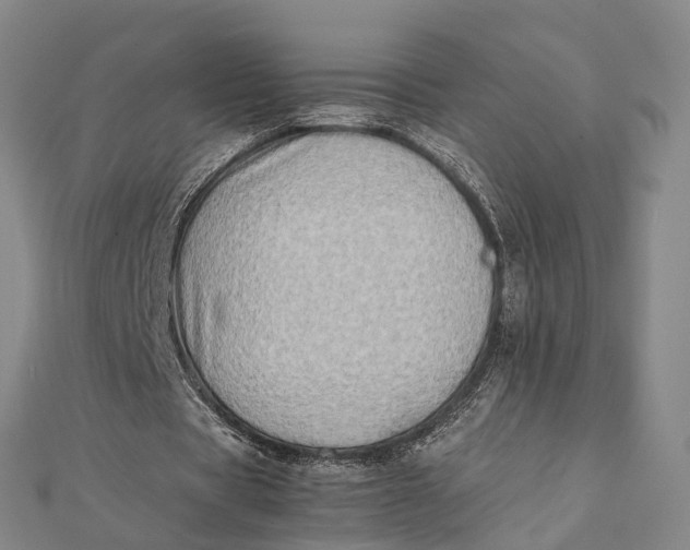 X0000112090529200908251129