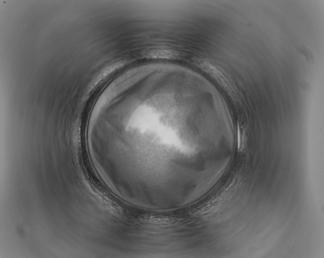 X0000112090531200908251129