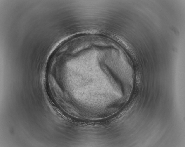 X0000112090532200908251129