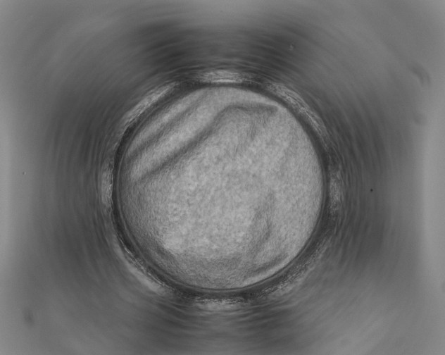 X0000112090533200908251129