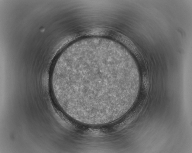 X0000112090534200908251129