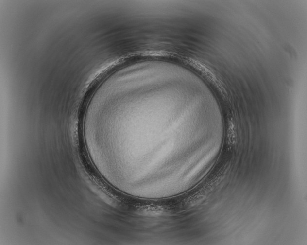 X0000112090535200908251129