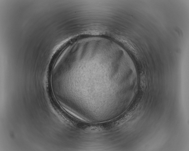 X0000112090536200908251129