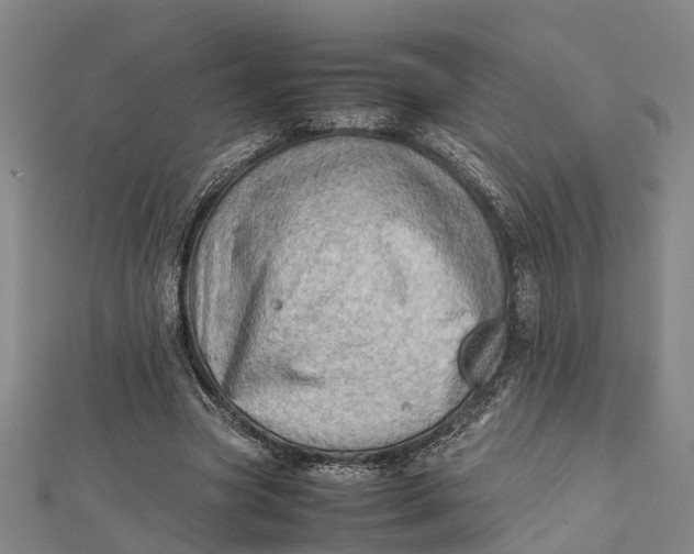 X0000112090537200908251129