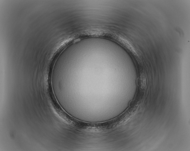 X0000112090538200908251129