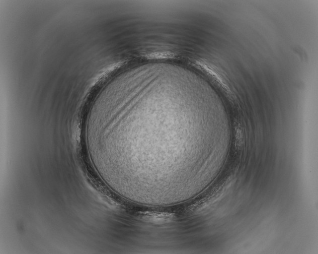 X0000112090539200908251129