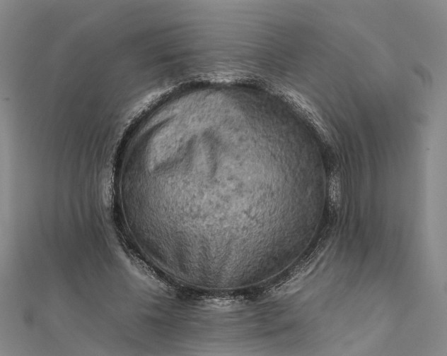 X0000112090540200908251130