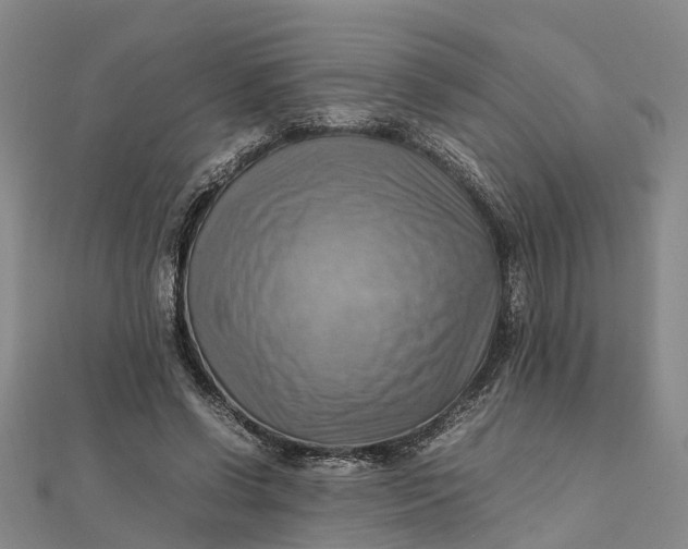 X0000112090542200908251130