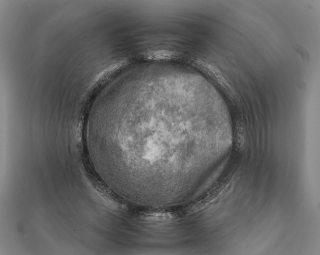 X0000112090543200908251130
