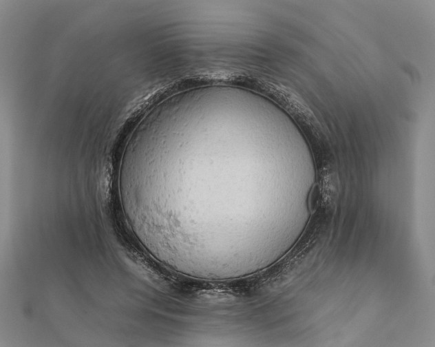 X0000112090544200908251130