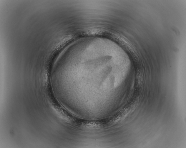 X0000112090546200908251130