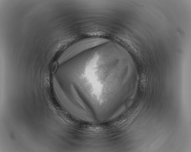 X0000112090547200908251130