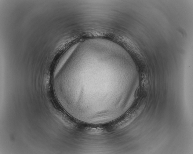 X0000112090548200908251130