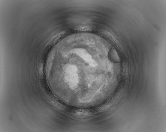 X0000112090549200908251130