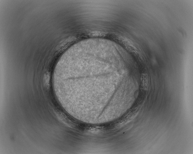 X0000112090550200908251130
