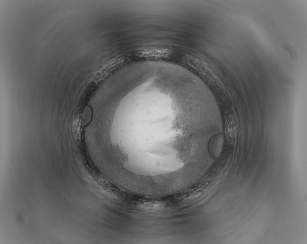 X0000112090551200908251130