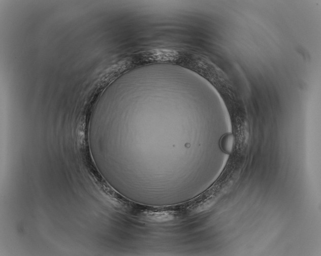 X0000112090553200908251130
