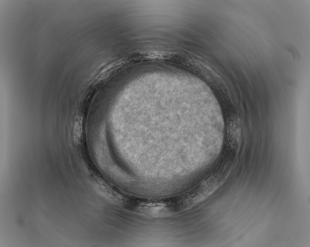 X0000112090554200908251130