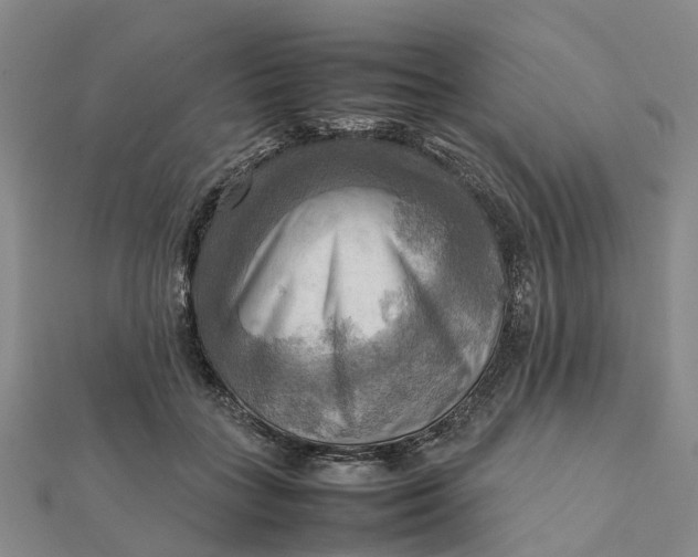 X0000112090555200908251130