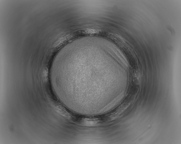 X0000112090556200908251130