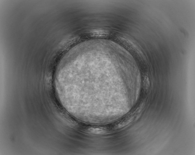 X0000112090557200908251130