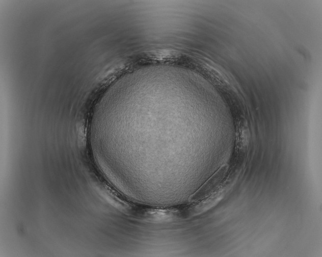 X0000112090558200908251130