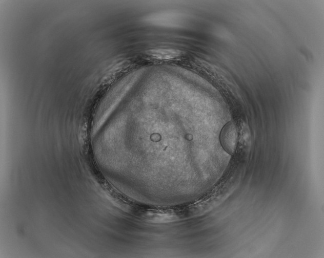 X0000112090559200908251130