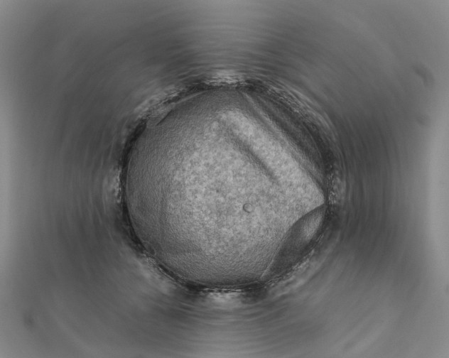 X0000112090560200908251130