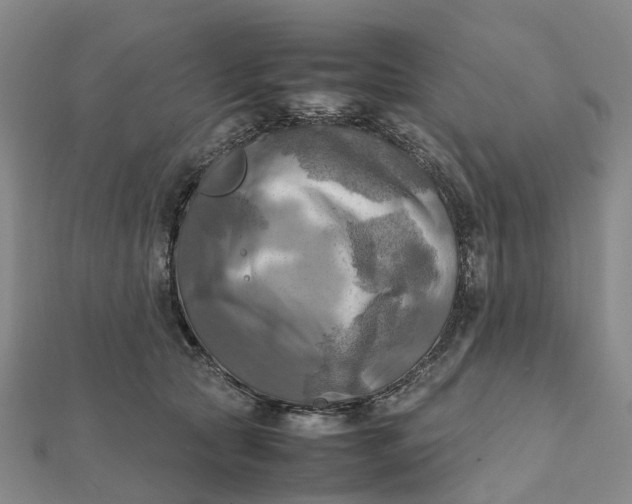X0000112090561200908251130