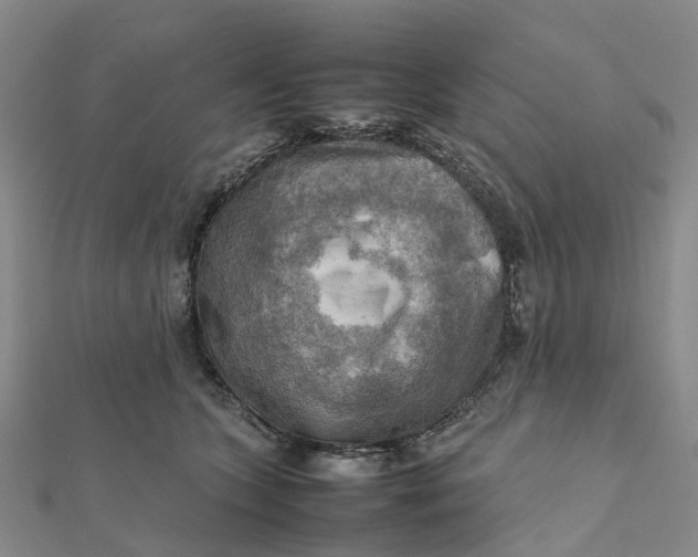 X0000112090563200908251130