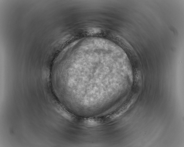 X0000112090565200908251130