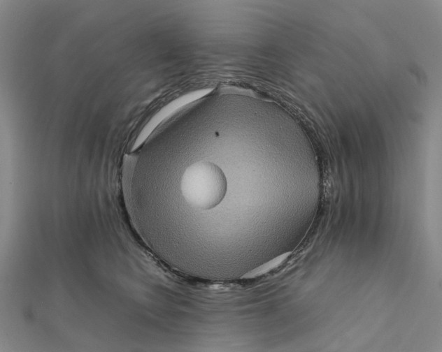 X0000112090566200908251130