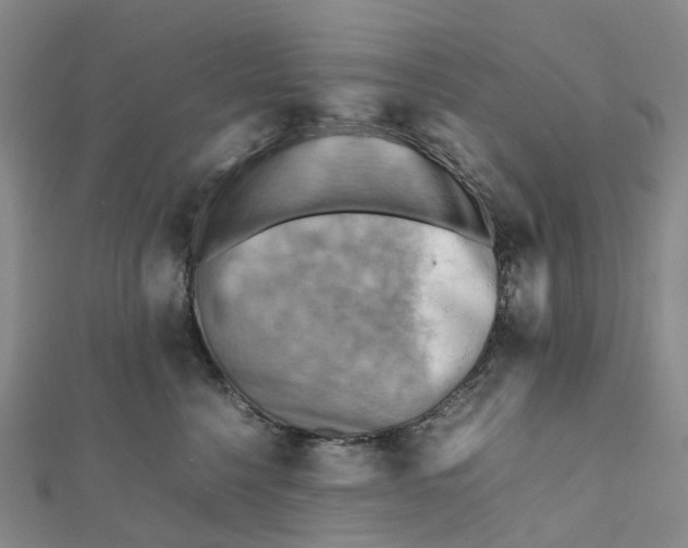X0000112090568200908251130