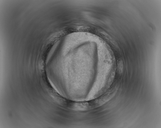 X0000112090571200908251130
