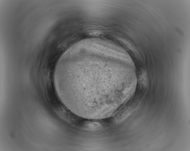 X0000112090572200908251130