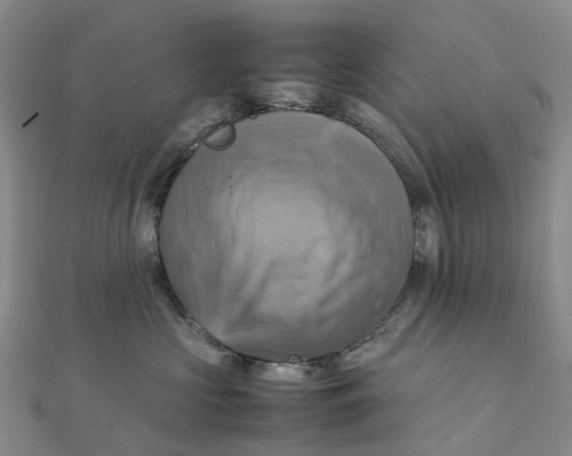 X0000112090573200908251130