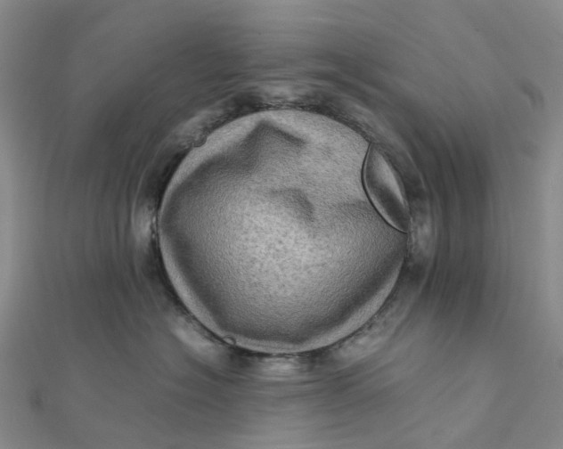 X0000112090574200908251130