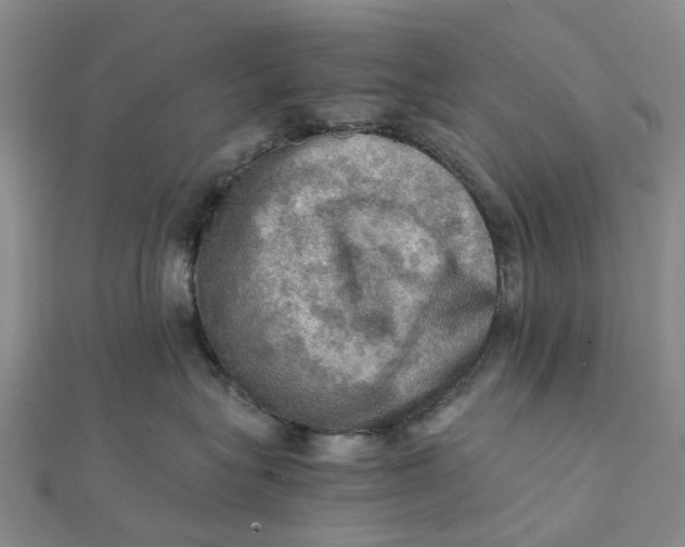 X0000112090575200908251130