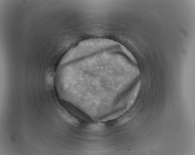 X0000112090576200908251130