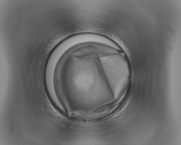 X0000112090577200908251129