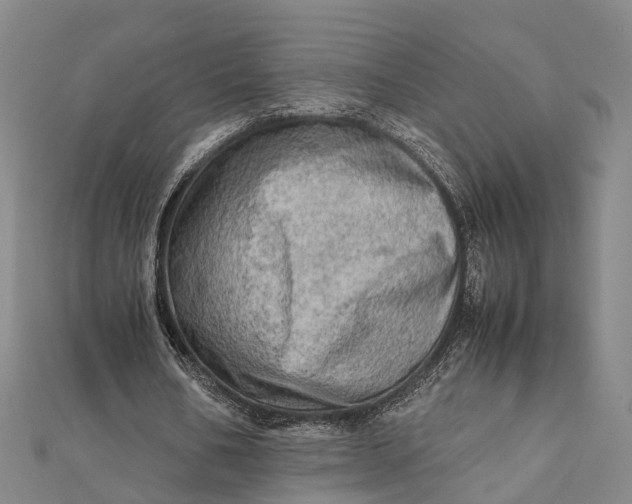 X0000112090578200908251129